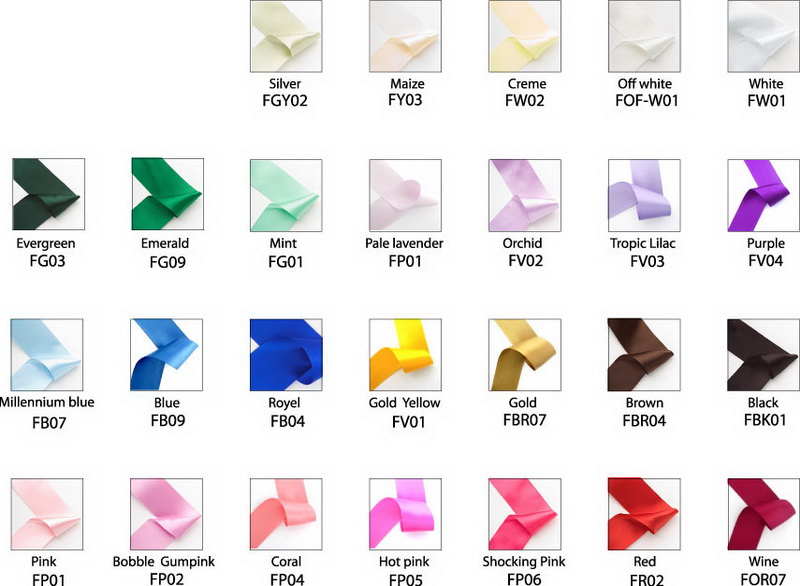 สีริบบิ้นเปล่า-new