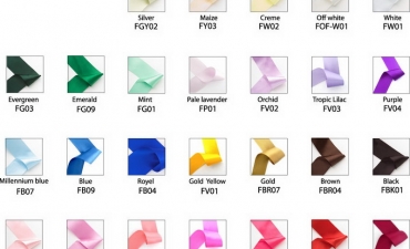 สีริบบิ้นเปล่า-new